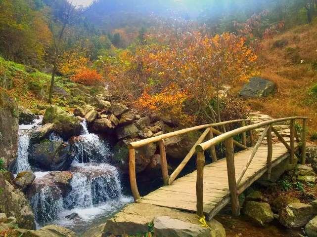 裙上繁花